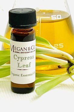 Cypress Organic Essential Oil Cypress Organic Essential Oil