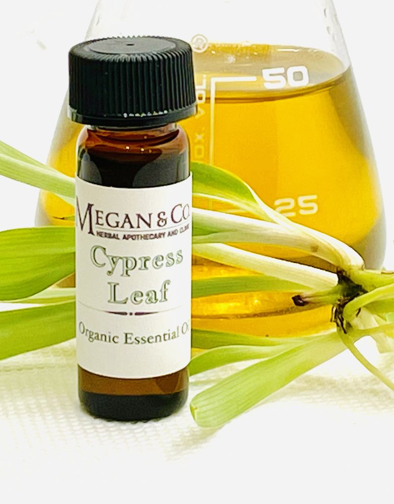 Cypress Organic Essential Oil