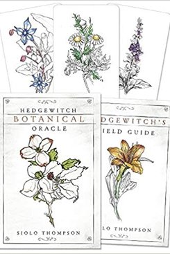 Hedgewitch Botanical, Thompson, Oracle