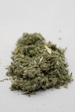 Horehound, Aerial Horehound, Aerial