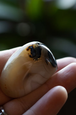 Agate w/Dendrite Pebble Agate w/Dendrite Pebble