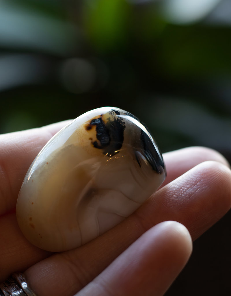 Agate w/Dendrite Pebble