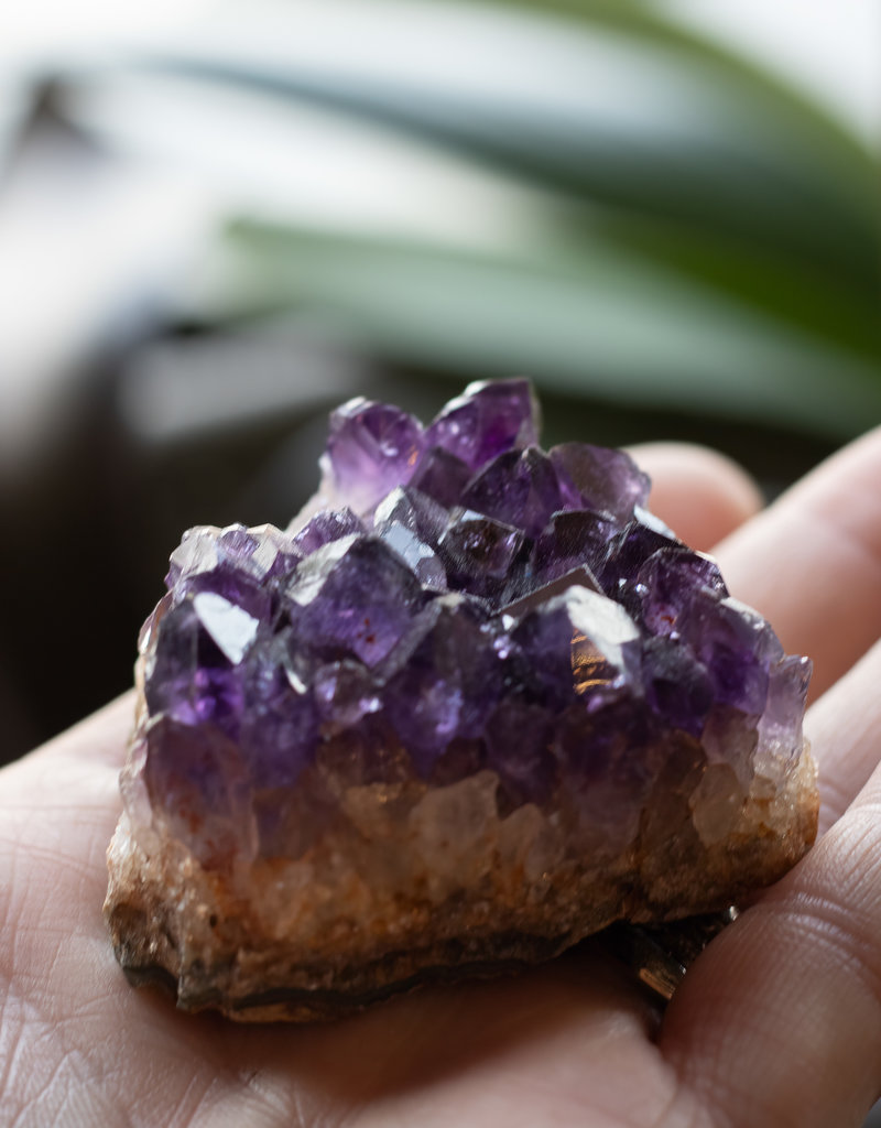 Grape Jelly Amethyst, Grade A, Crystal
