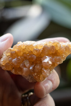 Citrine Cluster, Priced Per Oz Citrine Cluster, Priced Per Oz