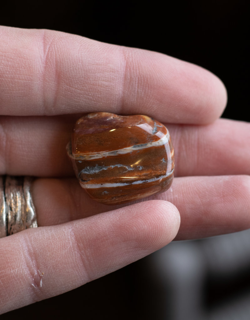 Petrified Wood, Tumble, Crystal