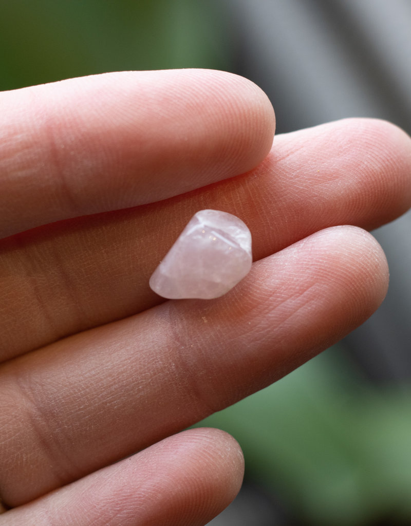 Rose Quartz, Tumbled, Stones