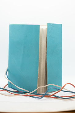 Color Leather Journal