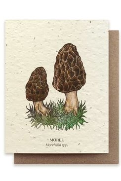 Morel Mushroom Plantable Wildflower Seed Card Morel Mushroom Plantable Wildflower Seed Card