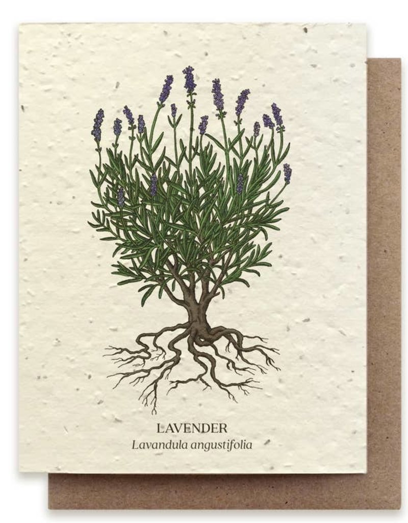 Lavender Plantable Wildflower Seed Card