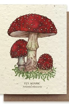 Fly Agaric Mushroom Plantable Wildflower Card Fly Agaric Mushroom Plantable Wildflower Card