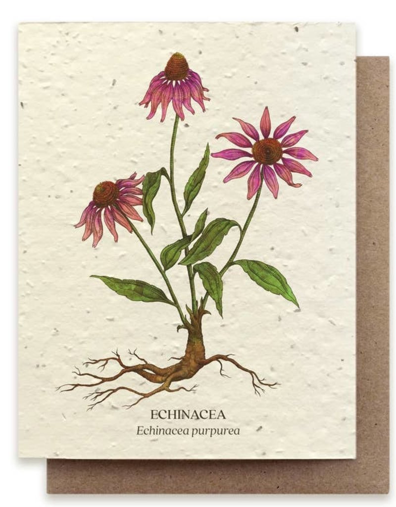 Echinacea Plantable Wildflower Seed Card