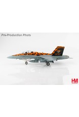 HobbyMaster HM F/A-18B RAAF Williamtown