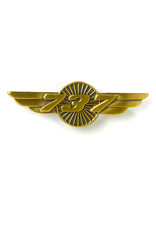 Boeing Boeing 737 Wings Pin