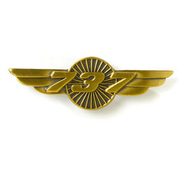 Boeing Boeing 737 Wings Pin