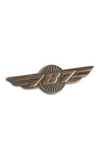 Boeing Boeing 787 Wings Pin