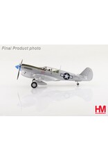 HobbyMaster HM P-40N Gerald Johnson Philippines Oct 1944