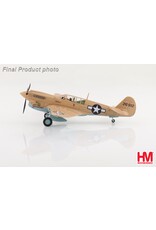 HobbyMaster HM P-40N Geronimo Bruce Campbell Dec 1943