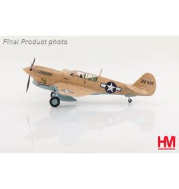 HobbyMaster HM P-40N Geronimo Bruce Campbell Dec 1943
