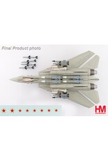 HobbyMaster HM F-14A Bandit w/bonus decal