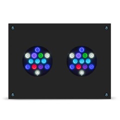 Products tagged with aqua illumination