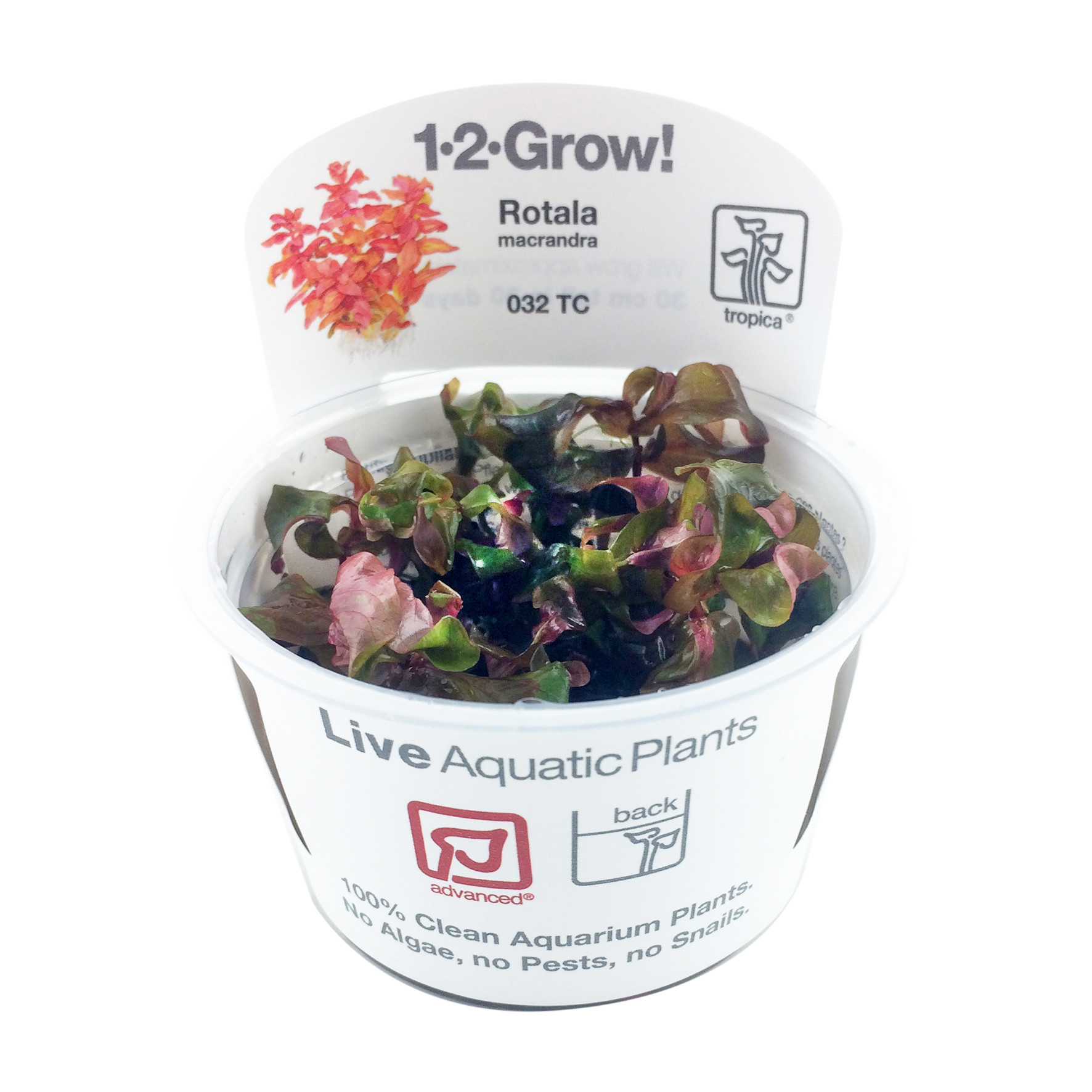 Tropica 12Grow Pot Aquarium Illusions Inc 17211 107 ave NW