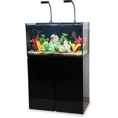 Products tagged with 65 gal reef ready aquariums