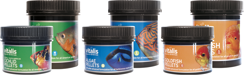 How Vitalis fish food is made and how it differs. 