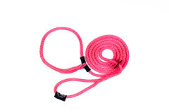 Products tagged with lead dog harness