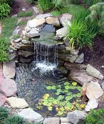 Maintaining A Healthy Pond