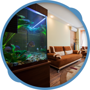 Aquarium Xpress, Install, Design, Maintenance