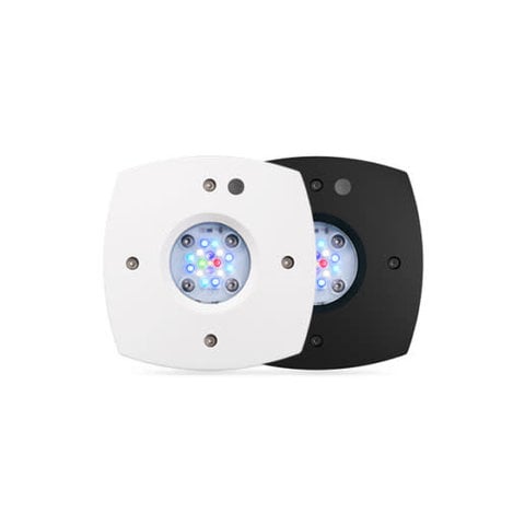Aqua Illumination Prime™ 16HD Reef, White