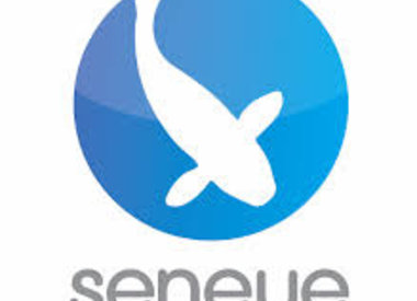 Seneye