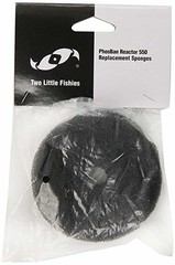 Two Little Fishes