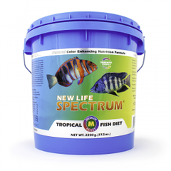 New Life Spectrum