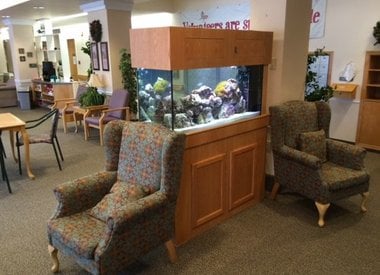 Professional Aquarium Maintance