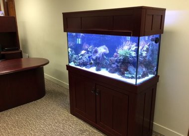 Aquarium Stands