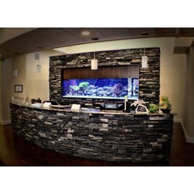  Custom Aquarium - Built In