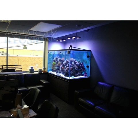 Custom450G by Aquarium Illusions