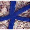Linckia Starfish(blue)