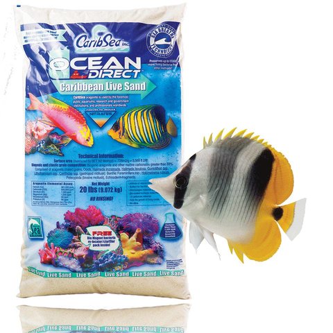 CaribSea Ocean Direct Original Sand 40lb