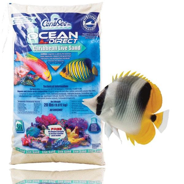 CaribSea Ocean Direct Live-Arag Original Sand 40lb