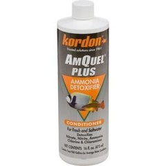 Kordon