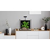 Waterbox Cube AIO  10