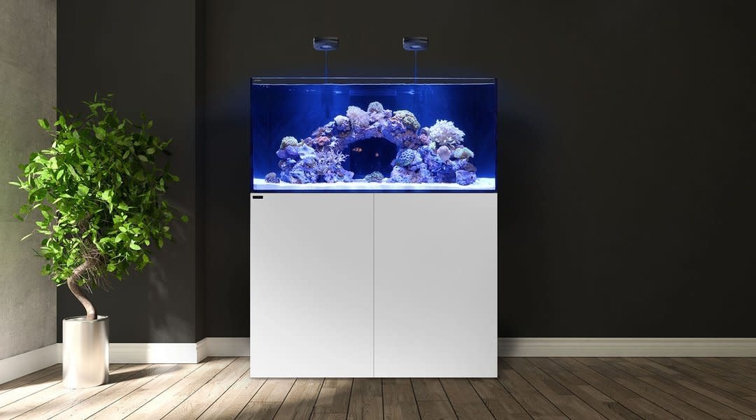 Waterbox Marine X 60.2 White Aquarium Illusions Inc 17211 107 ave NW