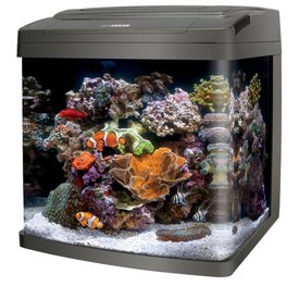 Energy Savers Unlimited Coralife LED Biocube 32 Gallon