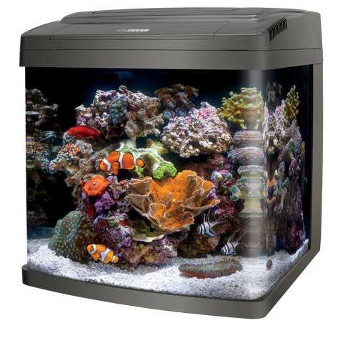 Coralife LED Biocube 32 Gallon