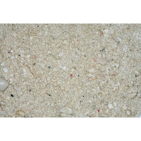 CaribSea Ocean Direct Live-Arag Original Sand 20lb