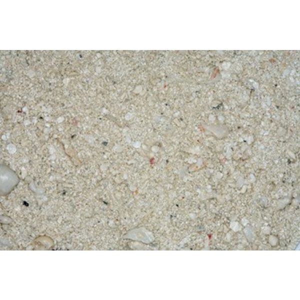 Carib sea CaribSea Ocean Direct Live-Arag Original Sand 20lb