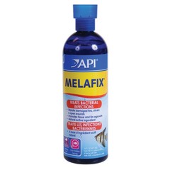 Products tagged with fish disease treatment