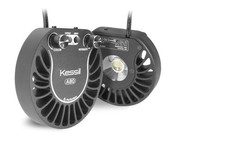 Products tagged with Kessil A80 tuna blue